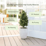 Potted plant on a wooden deck with text highlighting features