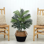 Potted plant between two wooden chairs with woven seats on a light wooden floor.