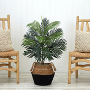 Potted plant between two wooden chairs with woven seats on a light wooden floor.