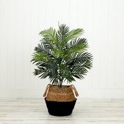 Potted plant with a woven basket on a wooden floor against a white wall