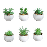 1. Nearly Natural green artificial succulents in compact white decorative planters