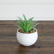 Set of six miniature artificial plants for home or office decoration