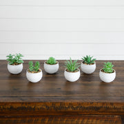 Nearly Natural set of 6 mini artificial succulent plants in white planters