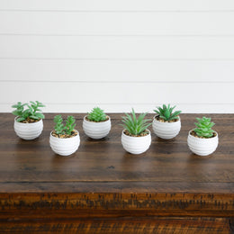 Nearly Natural set of 6 mini artificial succulent plants in white planters