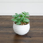 Small green faux succulents in decorative white oval pots