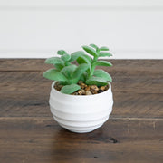 Small green faux succulents in decorative white oval pots