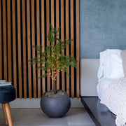 A small artificial evergreen tree in a matte dark gray spherical planter, decorated with warm white string lights, set in a modern bedroom next to a bed with white bedding and a slatted wood wall background.