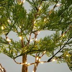 Warm white string lights wrapped around green pine branches, glowing against a soft gray background.