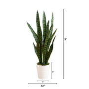 Sansevieria snake plant in a white ribbed pot with dimension labels showing 3 feet height, 8 inches pot depth, 7 inches leaf width, and 12 inches plant width on a white background.