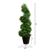 Green Spiral Tree