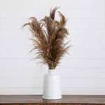 Fluffy Dried Pampas Plumes