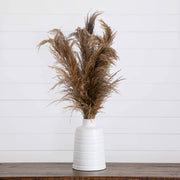 Fluffy Dried Pampas Plumes