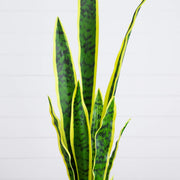 Nearly Natural Artificial Sansevieria Plant with Vanilla Planter, Green, 30