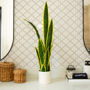 Green artificial snake plant with patterned leaves and yellow borders.