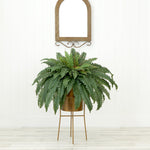 Fern plant in a gold pot on a wooden stand against a white wall