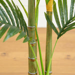 1. Decorative green areca palm tree for bedroom and entryway interiors