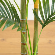 1. Decorative green areca palm tree for bedroom and entryway interiors