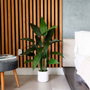 Nearly Natural Artificial Sky Bird Plant with White Decorative Planter, Green Tropical Foliage, 43