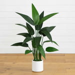 Potted plant with large green leaves on a wooden floor against a white wall