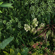 A dense artificial greenery wall featuring a variety of faux plants, including ferns, boxwood-like foliage, small leafy greens, and a variegated plant with burgundy and green leaves.