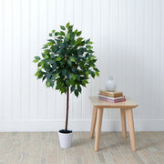Potted plant next to a small wooden table with books against a white paneled wall.