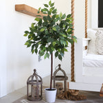Potted plant with decorative lanterns in a room setting
