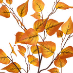 Autumn leaves on branches with a white background