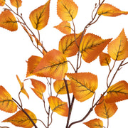 Autumn leaves on branches with a white background