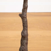 Single tree branch against a beige background