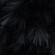 Close-up of dark feathers on a black background