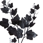 Black leafy branch on a white background