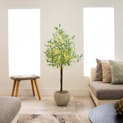 Nearly Natural Decorative 4' Lighted Artificial Olive Tree with 240 Warm White LED Lights