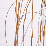Brown willow branches against a white background