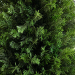 Close-up of a dense green bush with intricate leaf patterns