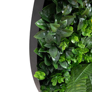 Decorative Botanical Wall Art