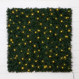 Lighted Boxwood Living Wall