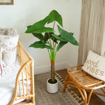 White Decorative Planter