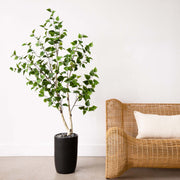 Potted plant next to a wicker chair with a white cushion on a light wooden floor.