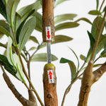 Nearly Natural 5' Artificial Olive Tree with Decorative Faux Olives