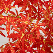 Nearly Natural Artificial Vibrant Fall Maple Tree with Rich Orange Leaves, 5'