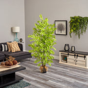 Living room with a large green plant, gray sofa, and decorative items.