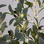 Olive Tree with LED Lights