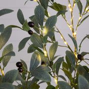 Olive Tree with LED Lights
