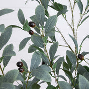 Decorative Artificial Olive Plant