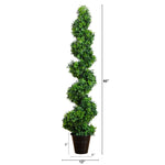 Indoor Outdoor Topiary