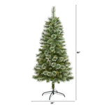Fir tree with dimensions on a white background