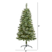Fir tree with dimensions on a white background