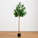 Potted plant on a wooden floor with a white wall background
