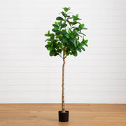 Potted plant on a wooden floor with a white wall background