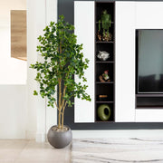 Potted plant in a modern living room setting with a television and shelves.
